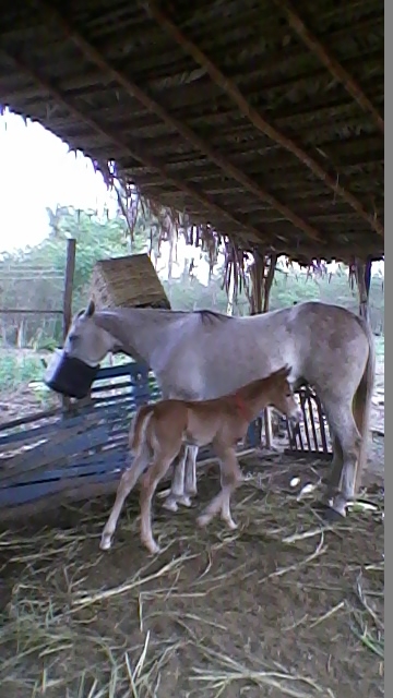 Vereador Jocione de Agricolândia recebe amigos em sua residência - Imagem 6