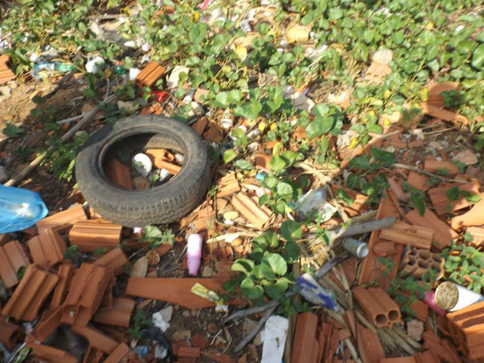  Faxina nos bairros, na luta pra não deixa o mosquito nascer. - Imagem 5