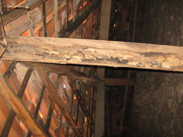 Água invade prédio do Emater e funcionários estão com medo     - Imagem 2