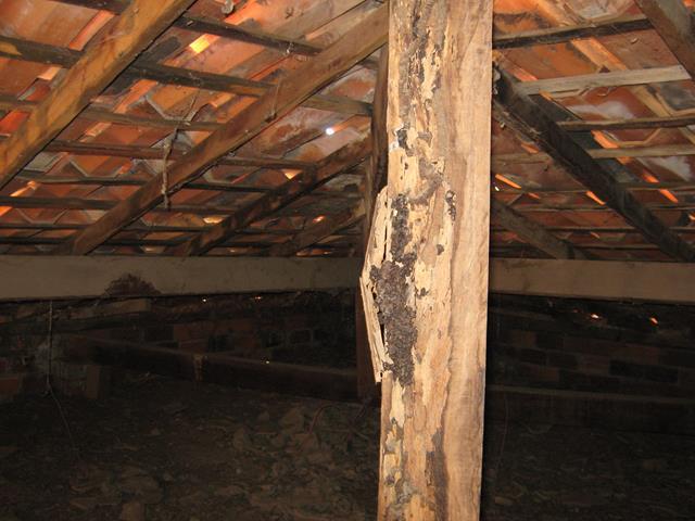 Água invade prédio do Emater e funcionários estão com medo     - Imagem 3