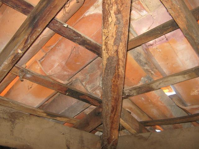 Água invade prédio do Emater e funcionários estão com medo     - Imagem 4