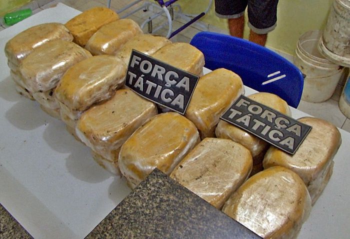 Força Tática de Parnaíba apreende 46 tabletes de crack enterrados - Imagem 3
