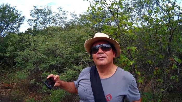 Alunos da UFPI visitam pinturas rupestres em Dom Expedito Lopes - Imagem 49