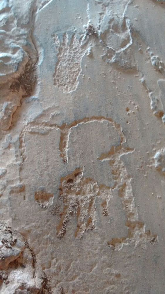 Alunos da UFPI visitam pinturas rupestres em Dom Expedito Lopes - Imagem 89