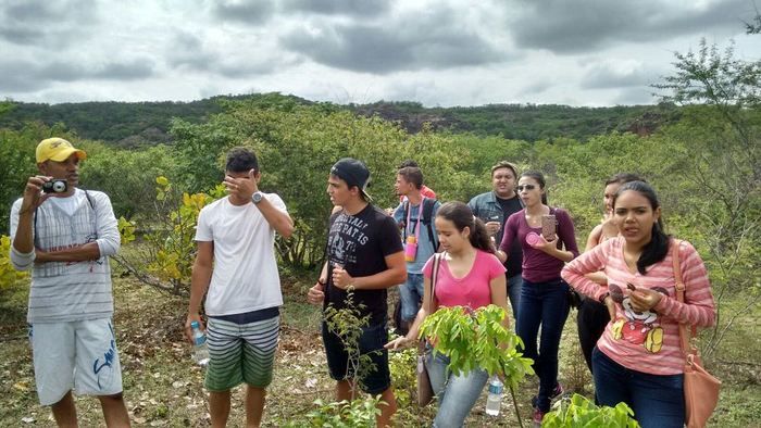 Alunos da UFPI visitam pinturas rupestres em Dom Expedito Lopes - Imagem 97