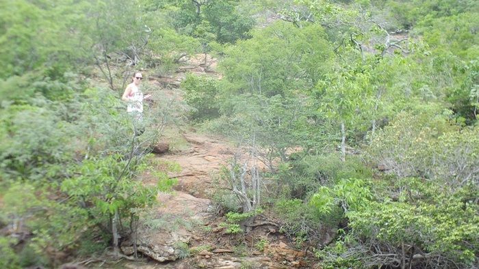 Alunos da UFPI visitam pinturas rupestres em Dom Expedito Lopes - Imagem 31