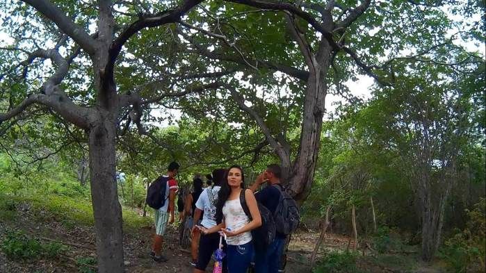Alunos da UFPI visitam pinturas rupestres em Dom Expedito Lopes - Imagem 58