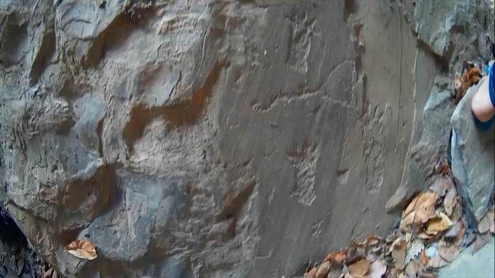 Alunos da UFPI visitam pinturas rupestres em Dom Expedito Lopes - Imagem 64