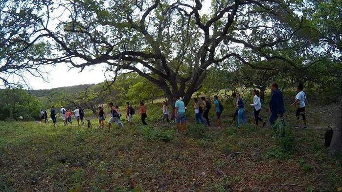 Alunos da UFPI visitam pinturas rupestres em Dom Expedito Lopes - Imagem 44