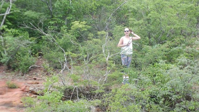 Alunos da UFPI visitam pinturas rupestres em Dom Expedito Lopes - Imagem 33