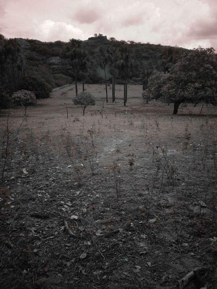 Alunos da UFPI visitam pinturas rupestres em Dom Expedito Lopes - Imagem 92