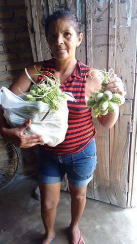 Pimenteiras investe em hortas comunitárias na zona rural - Imagem 2