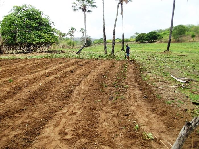 Chuvas começam a cair e animam agricultores de São João da Varjota - Imagem 13