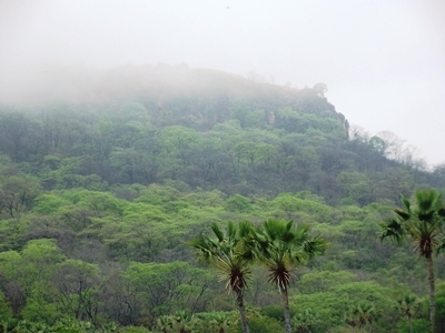 Chuvas começam a cair e animam agricultores de São João da Varjota - Imagem 9