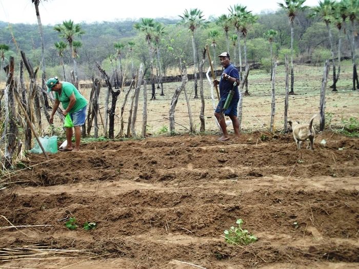 Pequenos agricultores começam a plantar a terra em São João da Varjota (Crédito: José Carlos da Silva)