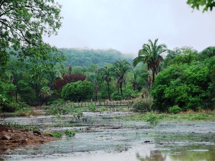 Chuvas fortes em São João da Varjota enchem várias barragens do mun - Imagem 18