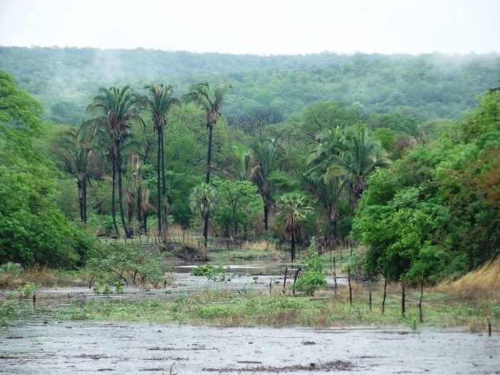 Barragem do Riacho dos Cocos (Crédito: José Carlos da silva)