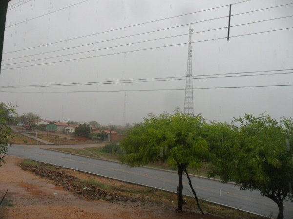 Agricultores estão alegres com a chegada da chuva  - Imagem 4
