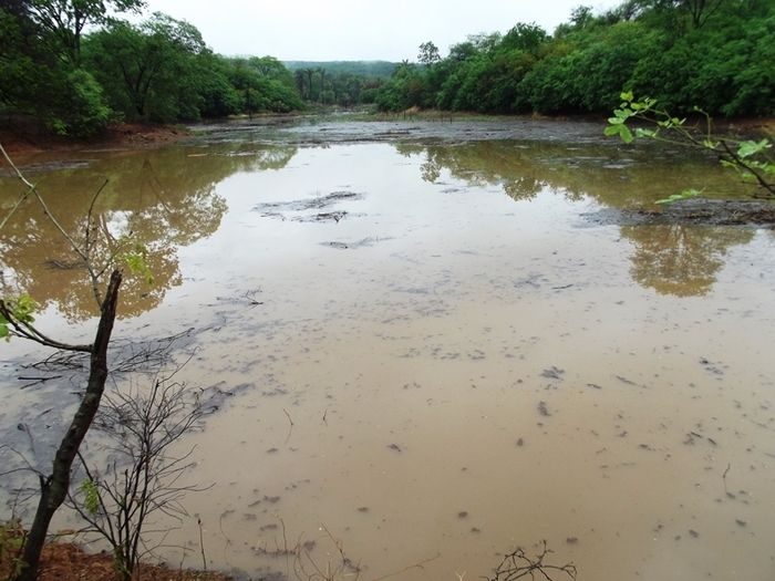 Chuvas fortes em São João da Varjota enchem várias barragens do mun - Imagem 20