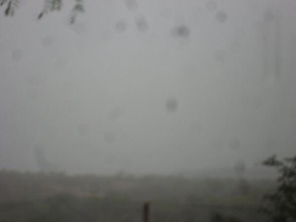 Agricultores estão alegres com a chegada da chuva  - Imagem 8