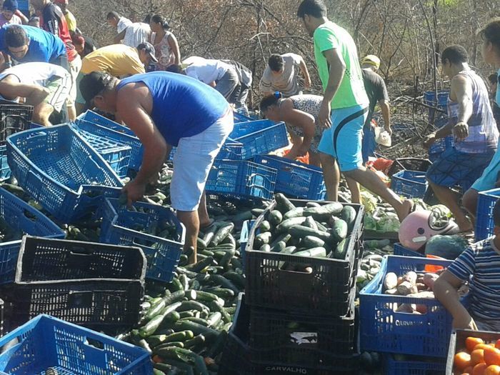 Acidente com vitima fatal entre Capitão de Campos e Cocal de Telha  - Imagem 3