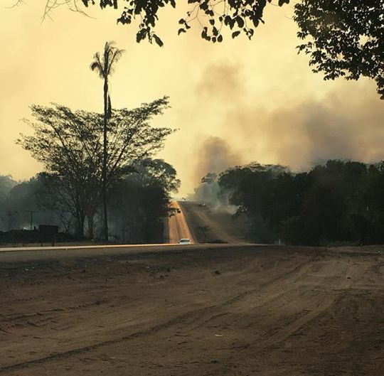 Sãofelicense participa da ação solidária às vítimas dos incêndios  - Imagem 7