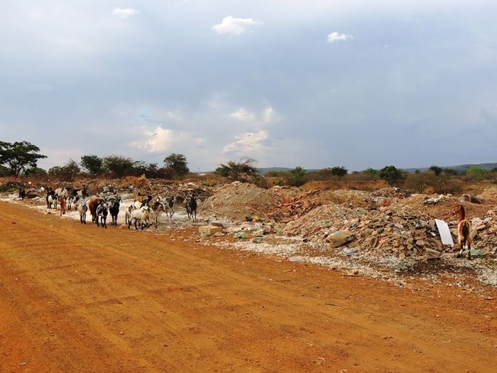 Lixão de Pedro II preocupa a nova administração  - Imagem 7
