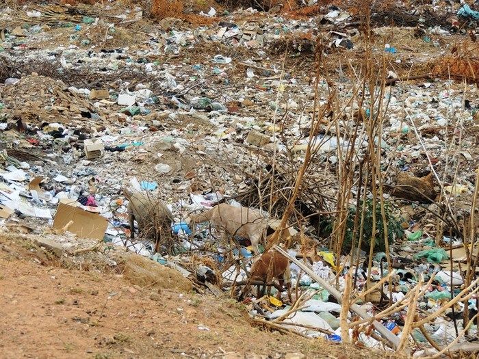Lixão de Pedro II preocupa a nova administração  - Imagem 2