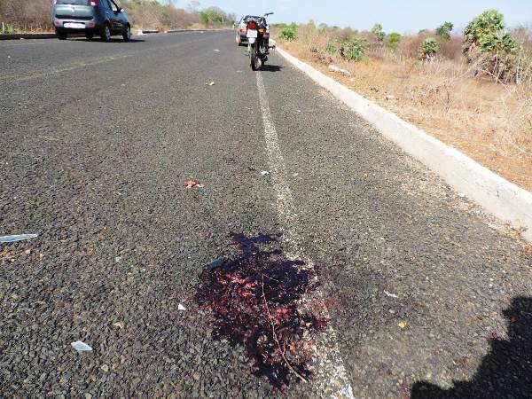 Ambulância atropela e mata homem na PI-323 - Imagem 1