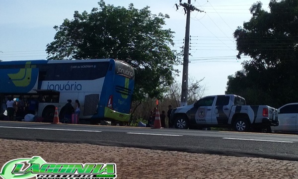 Traficante de Drogas é preso Durante Operação em Lagoinha do Piauí - Imagem 7