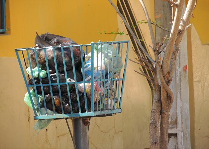 Lixo sufoca parte das ruas e avenida de Pedro II  - Imagem 8