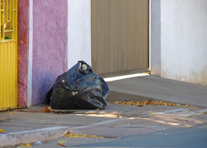 Lixo sufoca parte das ruas e avenida de Pedro II  - Imagem 10