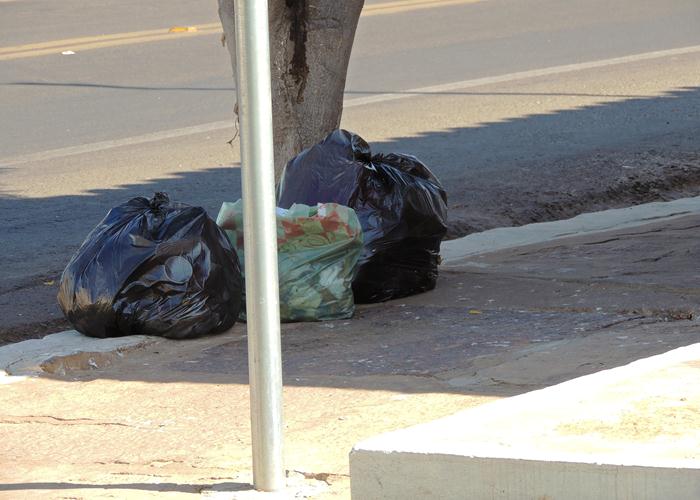 Lixo sufoca parte das ruas e avenida de Pedro II  - Imagem 4