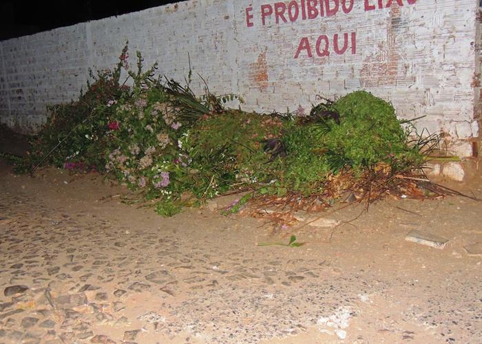 Lixo volta acumular e gera fedor e risco de doenças - Imagem 19