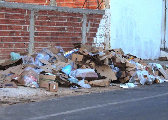 Lixo volta acumular e gera fedor e risco de doenças - Imagem 12