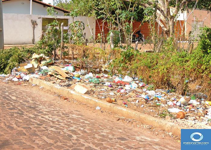 Lixo acumulado próximo ao centro provoca fedor e atrai insetos - Imagem 31