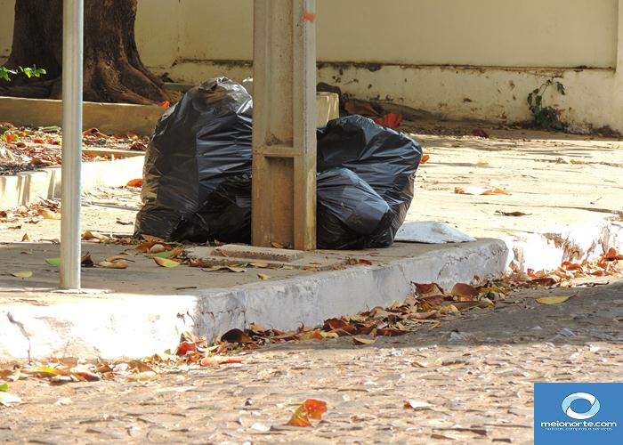 Lixo acumulado próximo ao centro provoca fedor e atrai insetos - Imagem 7