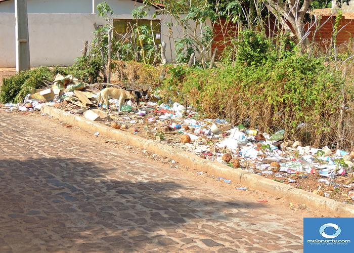 Lixo acumulado próximo ao centro provoca fedor e atrai insetos - Imagem 30