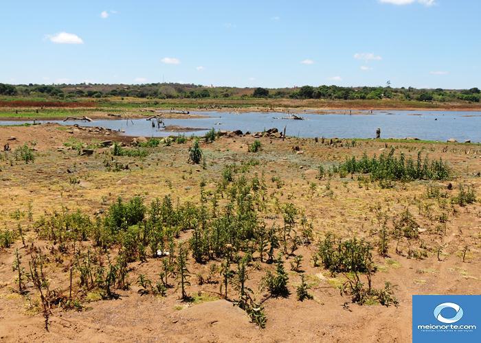 Açude quase seco, população terá que importar água? - Imagem 6
