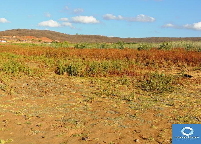 Açude Joana quase seco, população poderá recorrer ao Caldeirão      - Imagem 19