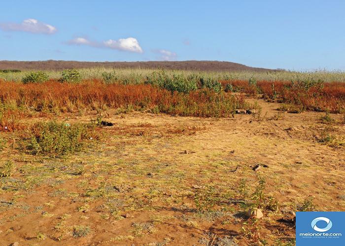 Açude Joana quase seco, população poderá recorrer ao Caldeirão      - Imagem 18