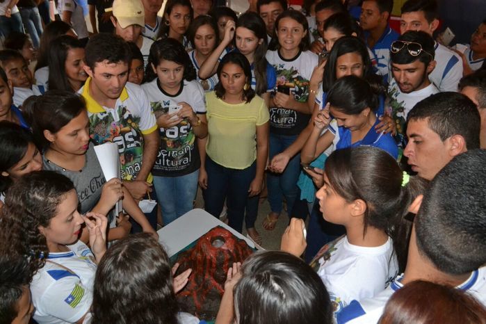 Escola Estadual de Alegrete realiza I Feira de Ciências - Imagem 57