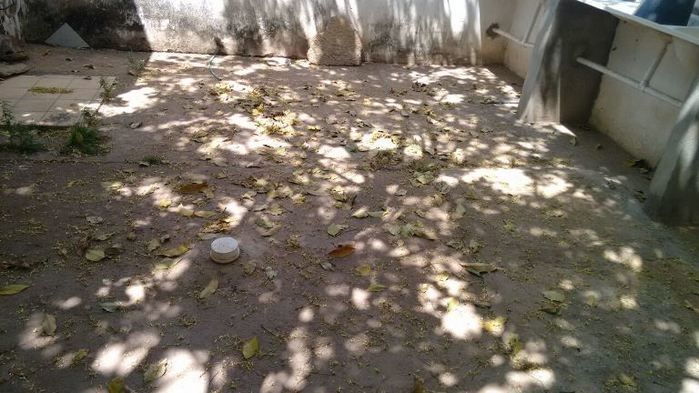 Situação de abandono, SAMU está virando moradia de rato - Imagem 6