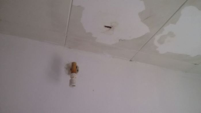 Situação de abandono, SAMU está virando moradia de rato - Imagem 11