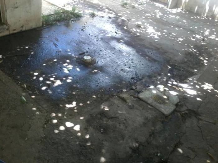 Situação de abandono, SAMU está virando moradia de rato - Imagem 16