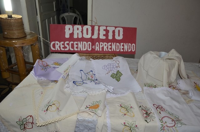 Programa Crescendo e Aprendendo Teve sua Culminância                - Imagem 2