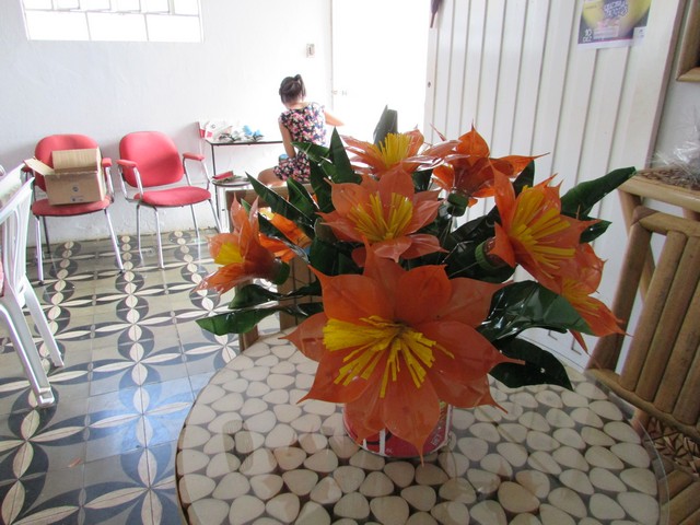 Curso Capacitou Para Trabalhos com Reciclável - Imagem 12