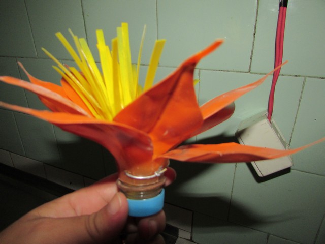 Curso Capacitou Para Trabalhos com Reciclável - Imagem 3