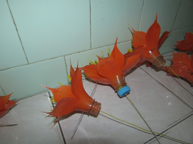 Curso Capacitou Para Trabalhos com Reciclável - Imagem 2