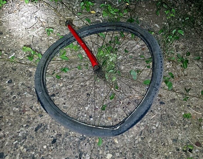 Ciclista morre após ser atropelado por estrangeiro na BR-402 - Imagem 4